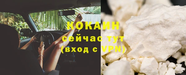 мескалин Туринск