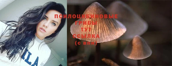 мескалин Туринск