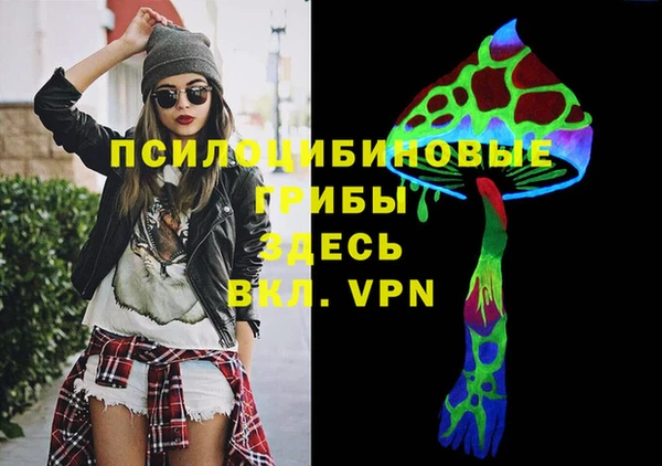 эйфоретик Тында