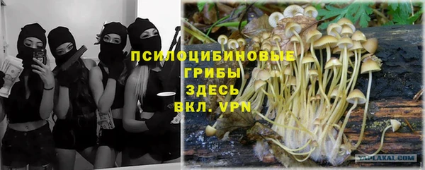 винт Тутаев
