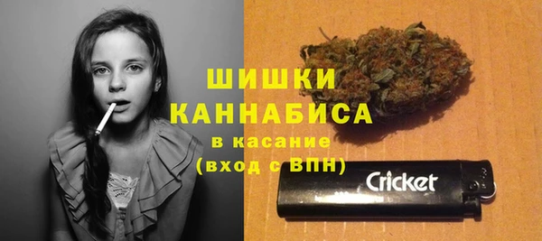 эйфоретик Тында